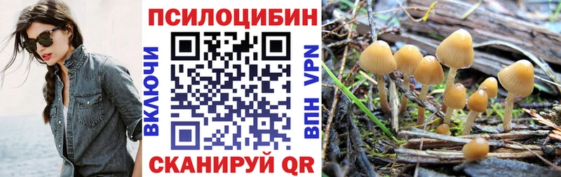 Галлюциногенные грибы Magic Shrooms  Вятские Поляны 