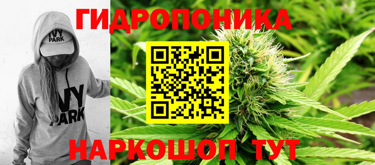 Канабис тримм Вятские Поляны
